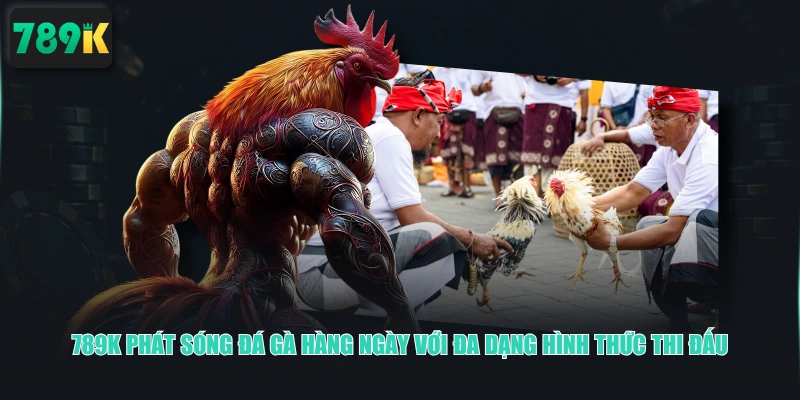 789K phát sóng đá gà hàng ngày với đa dạng hình thức thi đấu