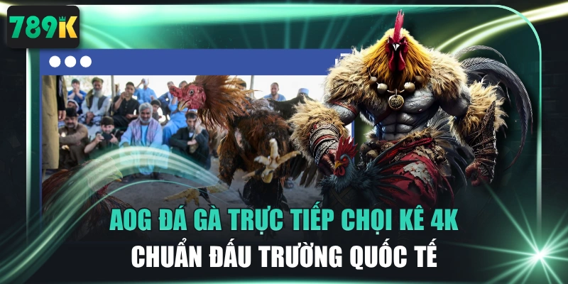 AOG Đá Gà Trực Tiếp Chọi Kê 4K Chuẩn Đấu Trường Quốc Tế