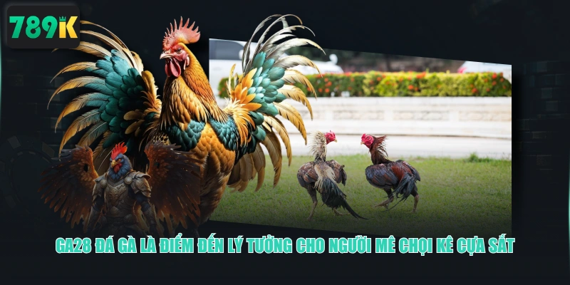 GA28 Đá Gà là điểm đến lý tưởng cho người mê chọi kê cựa sắt