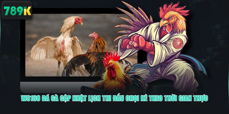 WS168 Đá Gà cập nhật lịch thi đấu chọi kê theo thời gian thực